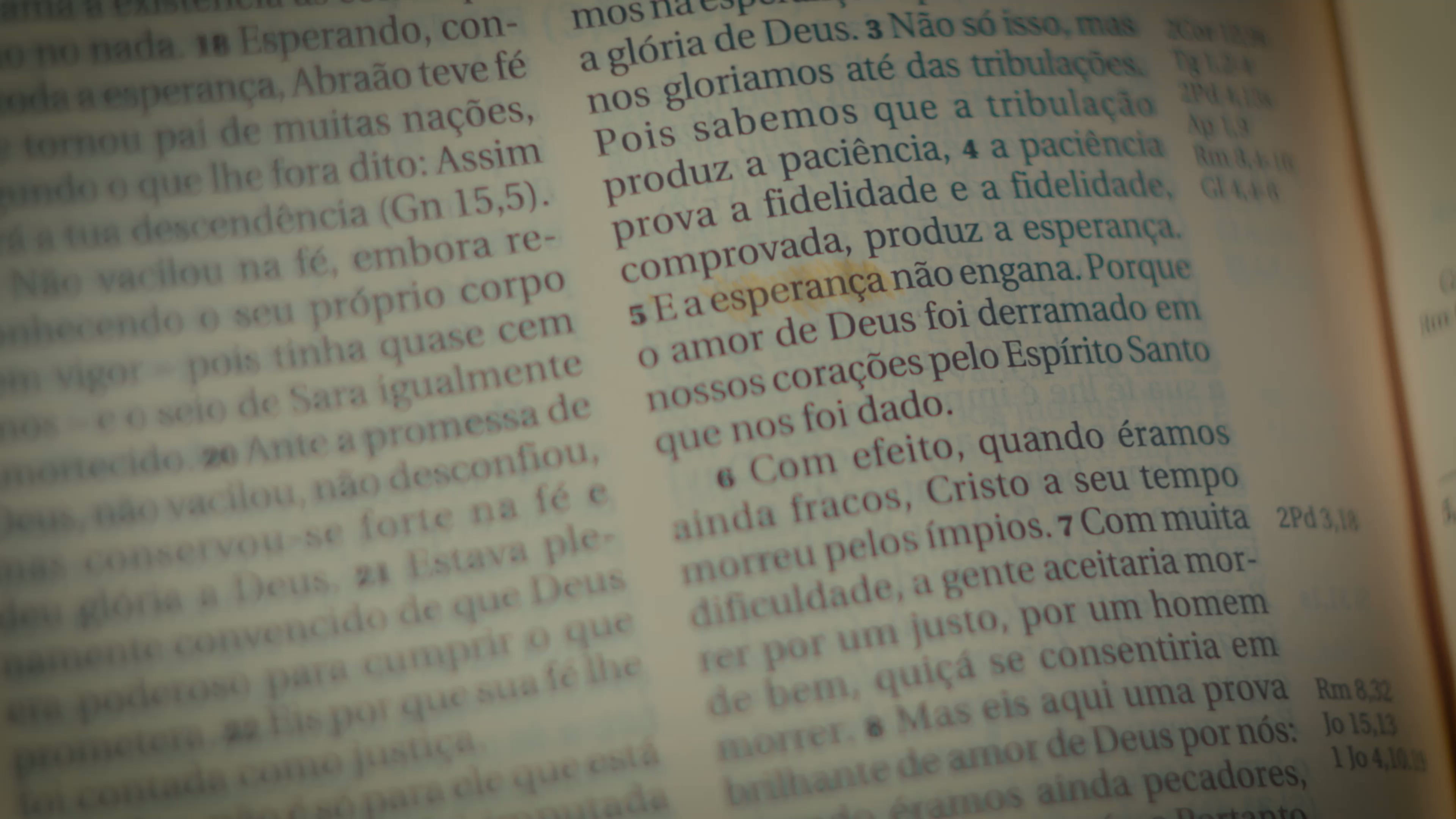 COMERCIAL PARA EDITORA AVE MARIA